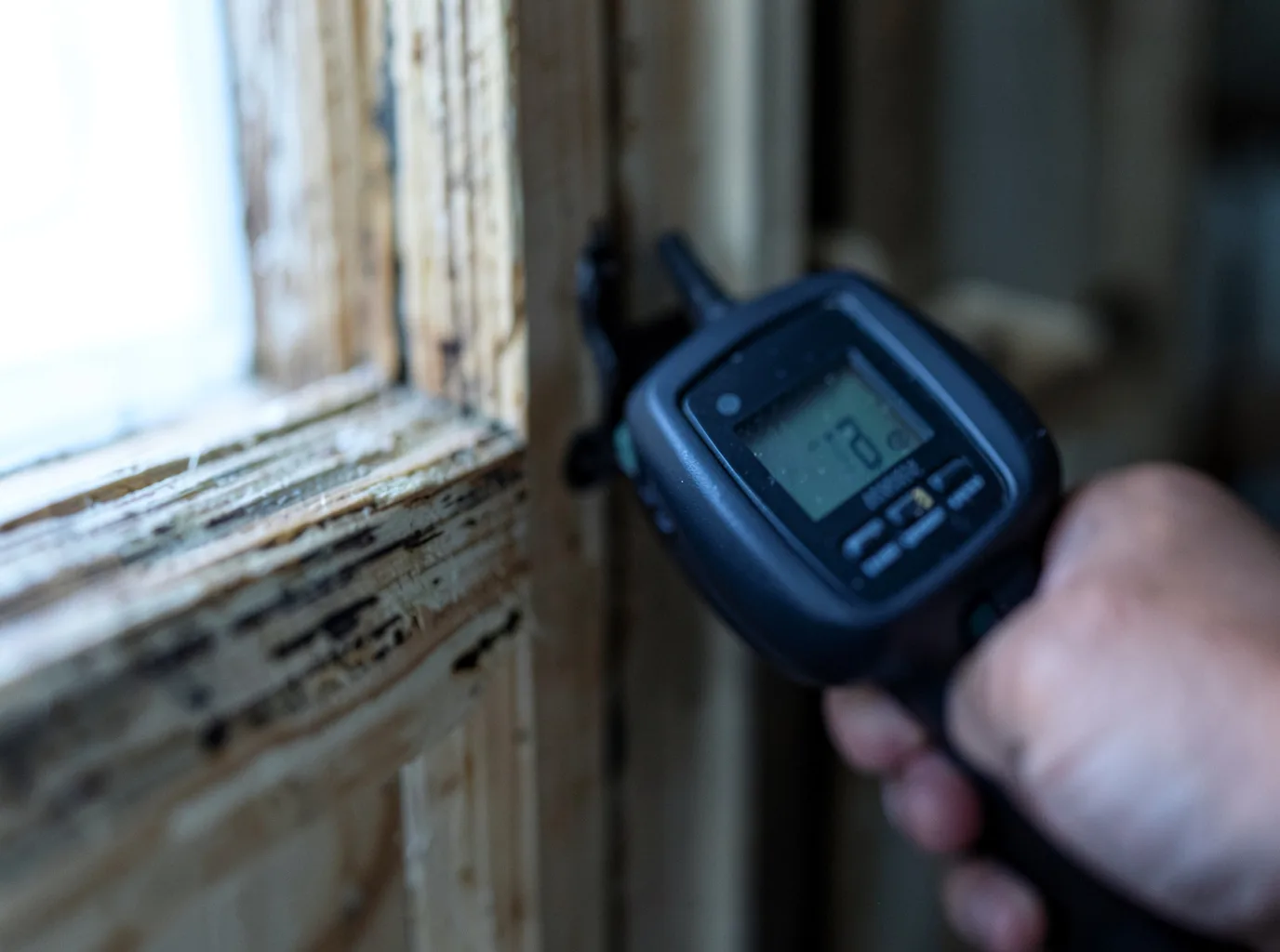 Moisture Inspection And Documentation in Francis Creek, WI